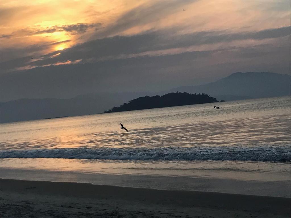 Ocean Life Leilighet Florianópolis Eksteriør bilde